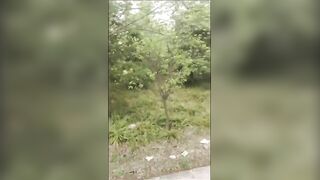 痴女大神野战乱伦公公