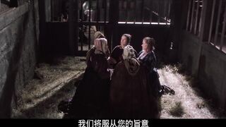 红字 The Scarlet Letter 美国三级