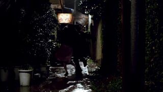 梦犯  Dream Crimes 日本三级