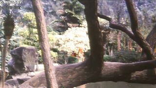 唐朝艳妃 唐皇宫外情之唐朝奸妃 香港三级
