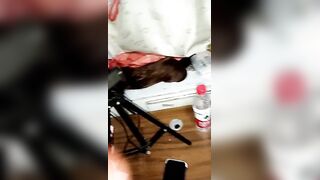 母女直播秀场精彩4P【park4】全程露脸一起服务两个大哥，黑丝白丝吃奶玩逼口交大鸡巴，各种抽插爆草淫声荡语不断